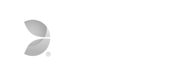 evolution gaming